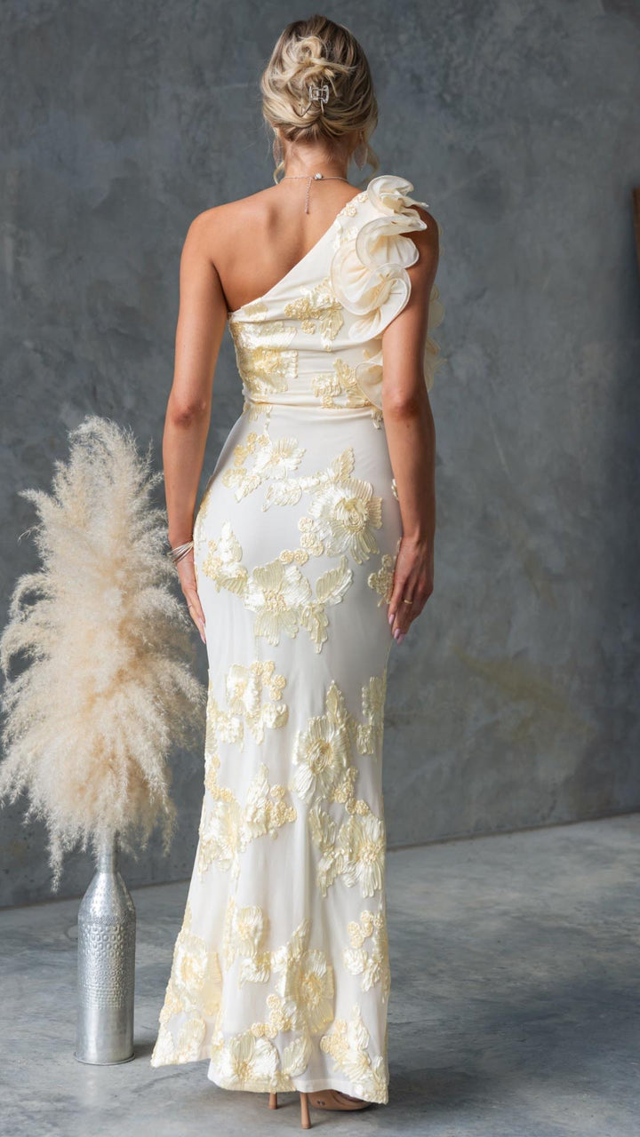 Celeste | One-Shoulder Embroidered Mesh Maxi Dress