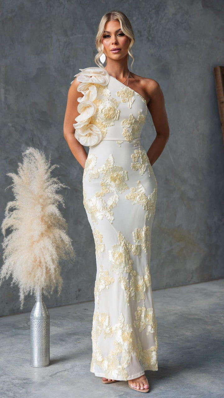 Celeste | One-Shoulder Embroidered Mesh Maxi Dress