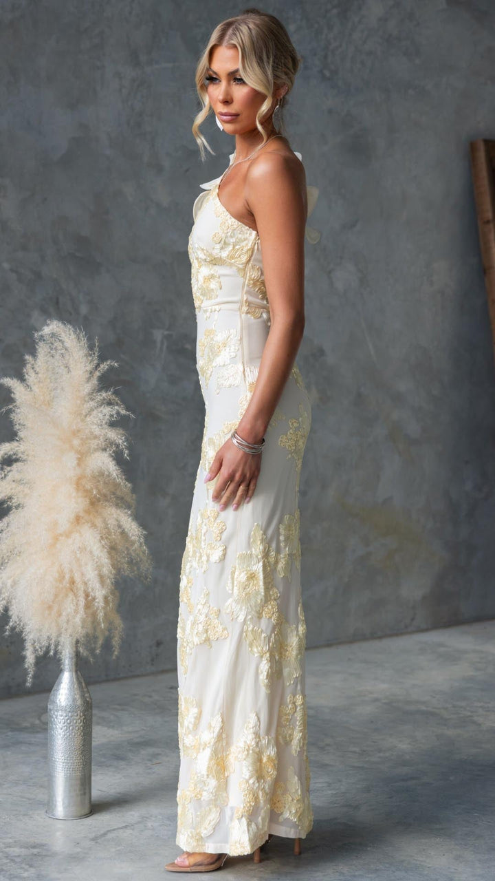 Celeste | One-Shoulder Embroidered Mesh Maxi Dress