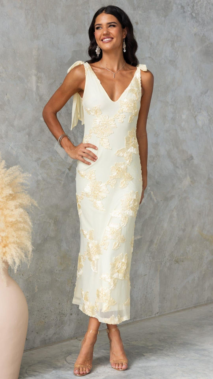 Lily | Embroidered Floral Mesh Maxi Dress