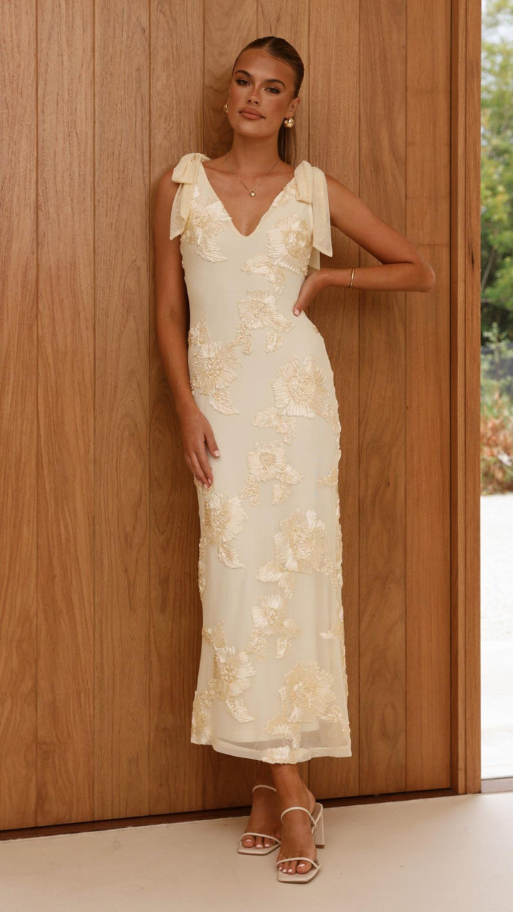 Lily | Embroidered Floral Mesh Maxi Dress