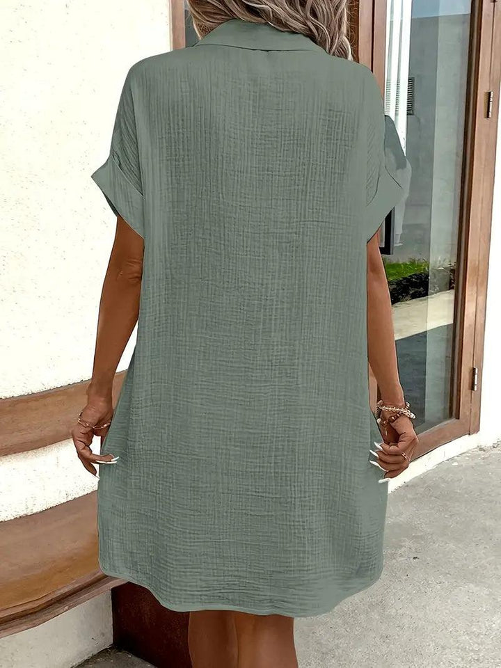The Timeless V-Neck Blouse Dress