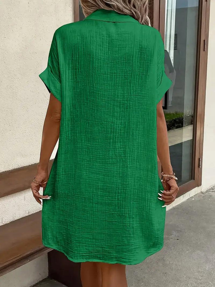 The Timeless V-Neck Blouse Dress