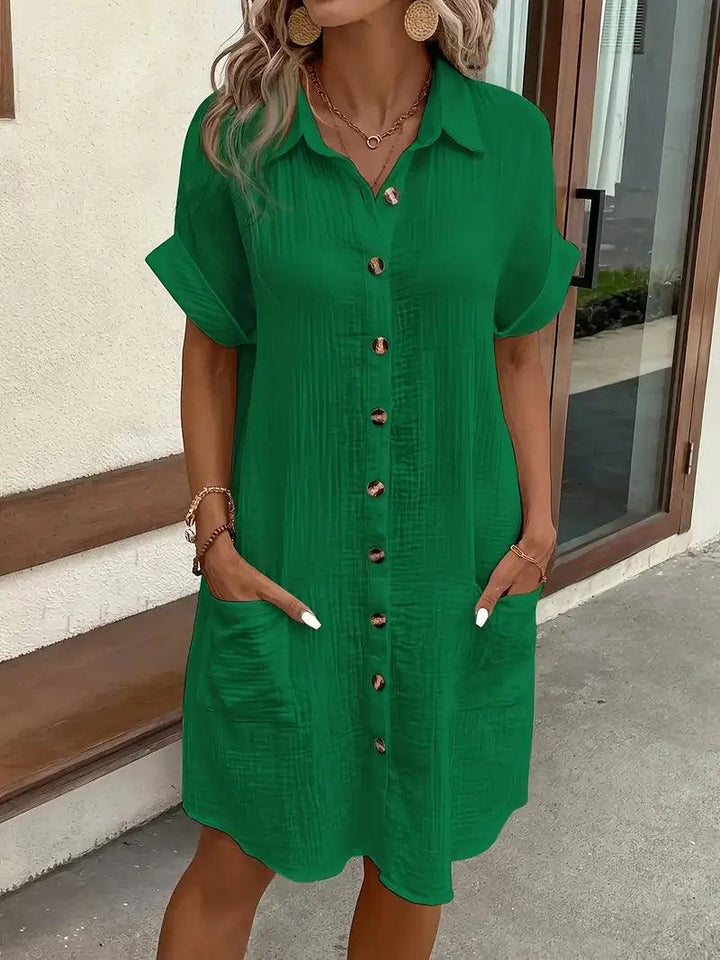 The Timeless V-Neck Blouse Dress