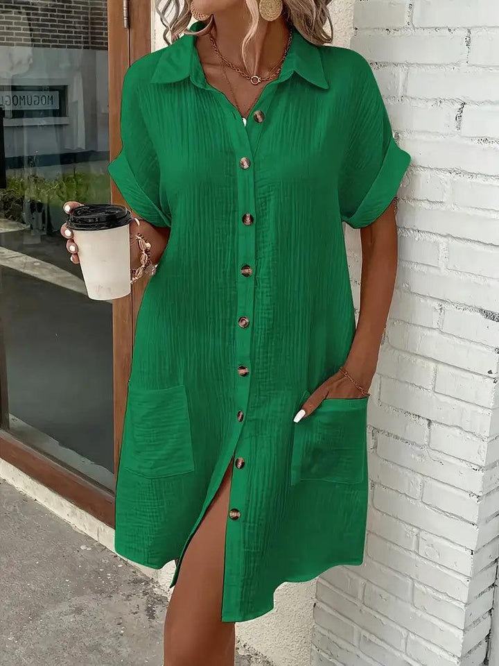 The Timeless V-Neck Blouse Dress