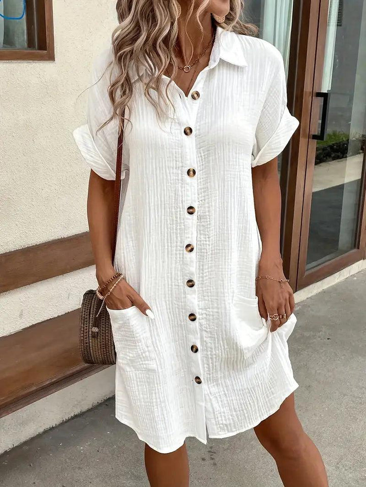 The Timeless V-Neck Blouse Dress