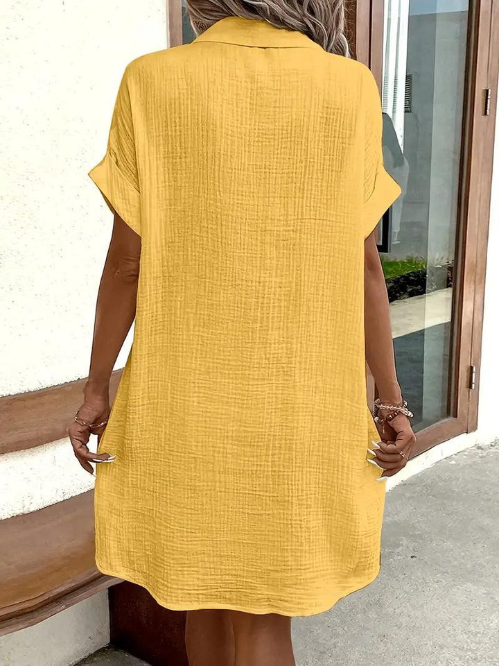 The Timeless V-Neck Blouse Dress